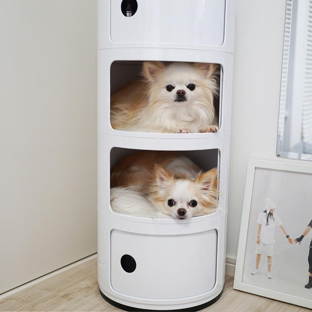 僕たちのお部屋を大公開！