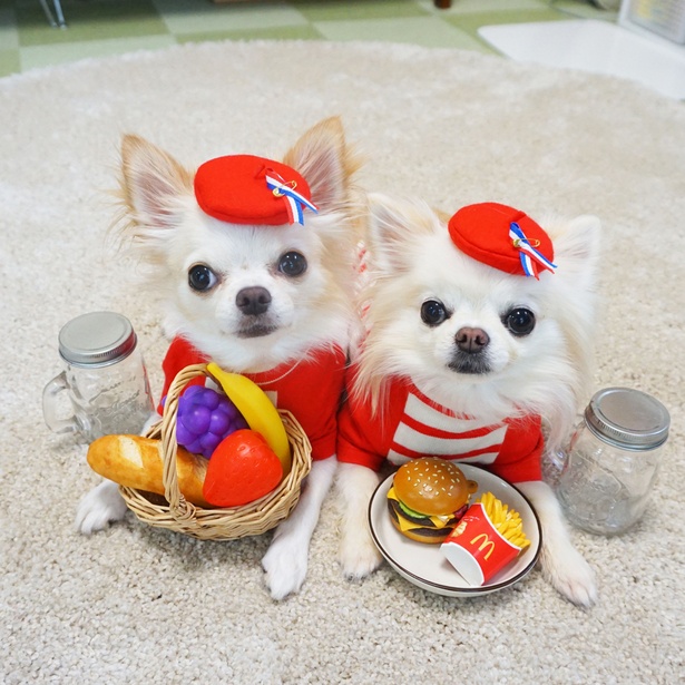 ベレー帽かぶってピクニック