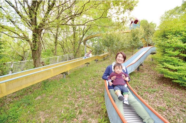 「高取山公園・わんぱく王国」。全長約200mのスリリングなローラー滑り台が人気