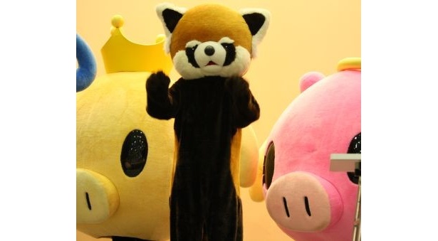 ホーリー＆アンジーに挟まれたレッサーパンダの風太くん