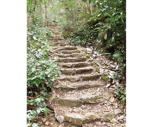 階段は踏み場が狭く、落ち葉で滑りやすいため注意して歩こう！