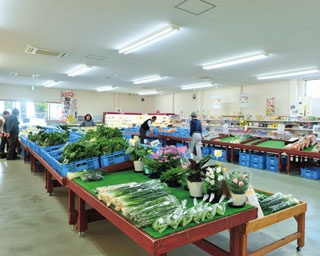種類豊富はもちろん、 交通の便のよさも！農産物と果物が年200種以上並ぶ、淡路島・東浦「フローラルアイランド」