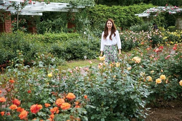 約270種、1300株ものバラは圧巻/京都府立植物園