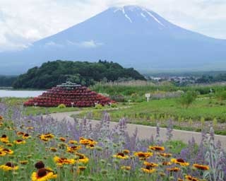 ラベンダーが香る富士山のふもとで「河口湖ハーブフェスティバル」開催