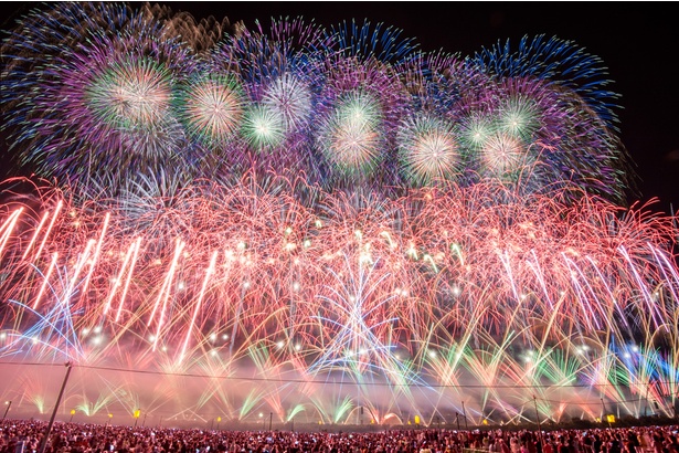 競うから磨かれる 日本三大競技花火大会 が魅せる花火の芸術 ウォーカープラス