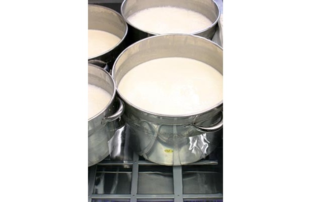 はらロール 表参道店の「はらロール 白巻」は、神戸・湊川の老舗「原とうふ店」の豆乳を米粉生地にミックス