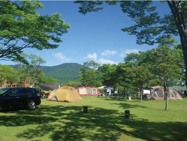 ファミリーキャンプならココ 宮崎でおすすめのキャンプ場6選 ウォーカープラス