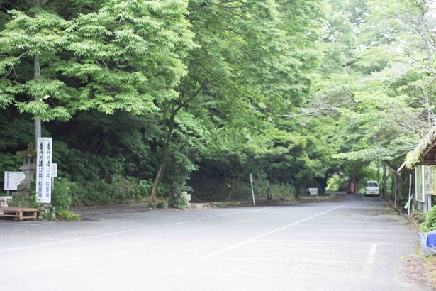 駐車場は広く、利用しやすい。敷地内には温泉施設や飲食店が並ぶ