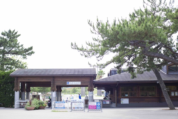 ｢アーリーサマーフェスタ｣期間中の雨天時は、公園入口で飴のプレゼントも