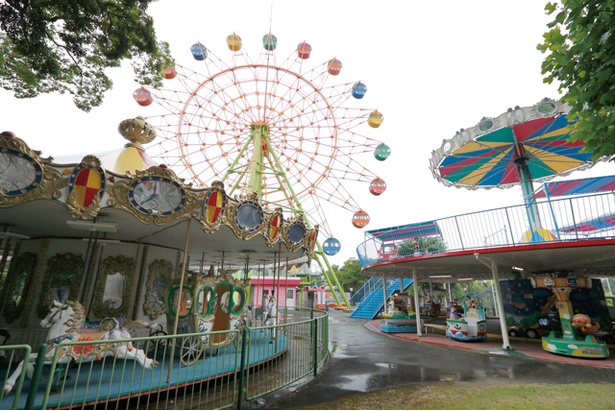 大牟田市動物園 / 観覧車やメリーゴーラウンドなど、つい乗りたくなるアトラクションがいっぱい