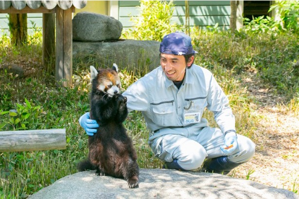 カワイイ動物に会いに行こう 好奇心を刺激する福岡の動物園5選 ウォーカープラス