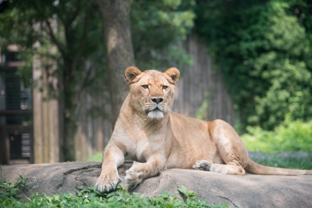 画像4 22 カワイイ動物に会いに行こう 好奇心を刺激する福岡の動物園5選 ウォーカープラス