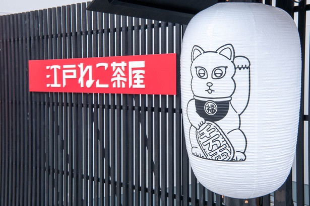 8月31日(金)まで期間限定オープン
