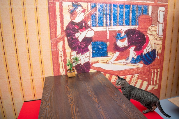 「江戸ねこ茶屋」のネコたち
