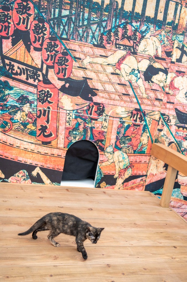 「江戸ねこ茶屋」のネコたち