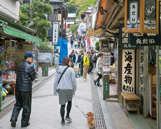 絶景スポットを巡りながら、江の島を探検！