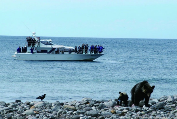 野生のヒグマに遭遇!?　この夏体験したいクルージング