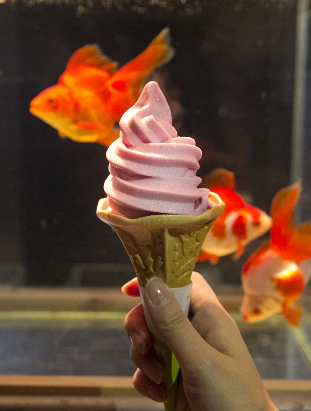 金魚の赤をイメージしたラズベリー味の「金魚ソフトクリーム」(360円)