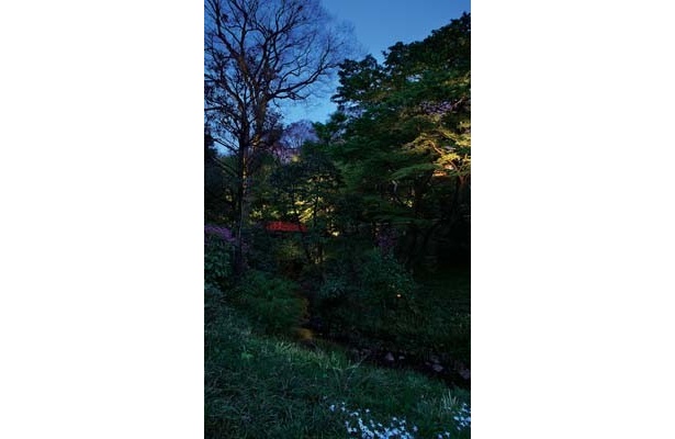 約2万坪の広い庭園