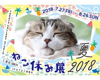 合計300万フォロワーのスター猫が集結！3周年となる「ねこ休み展」、過去最大規模で開催