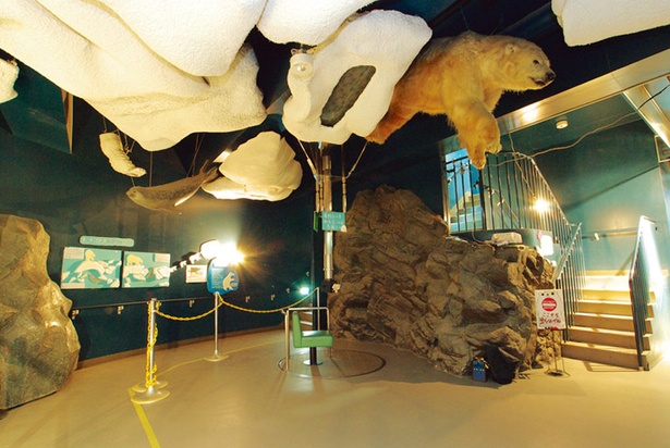 旭山動物園/「ほっきょくぐま館」内のホール