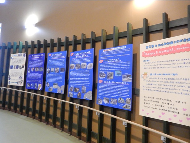 旭山動物園/「ちんぱんじー館」には地元大学とコラボした手書きパネルが