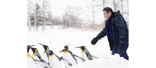 「旭山動物園物語〜ペンギンが空を飛ぶ〜」クリスマス試写会に150組300名様ご招待