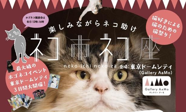 東京ドームシティで猫イベント開催