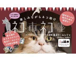 東京ドームシティで日本最大級の保護猫イベント「ネコ市ネコ座」開催