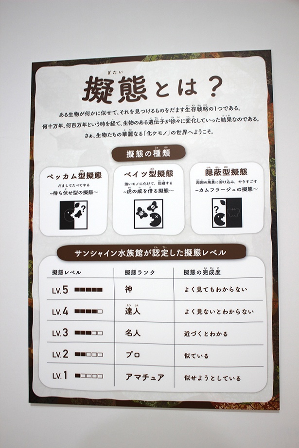 サンシャイン水族館が認定した擬態レベルが各生物に設定されている