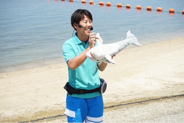 「イルカタッチ」では、イルカに関するさまざまな知識が学べる/日間賀島ドルフィンビーチ