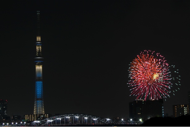 【写真を見る】第41回隅田川花火大会は7月28日(土)に開催予定(写真はイメージ)