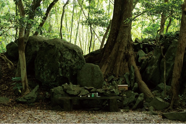 和多都美神社 / 巨木がそびえる神社の裏手の森は厳かな雰囲気。苔むした鳥居をくぐると、 豊玉姫命の墳墓が鎮座している