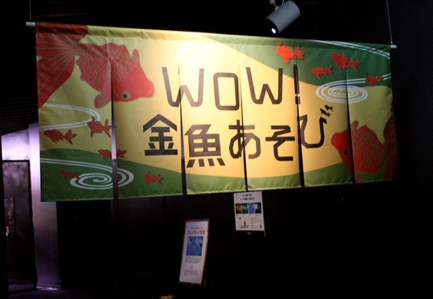 金魚ソーダ、金魚ソフトも登場！ 京都水族館「WOW！金魚あそび」で金魚