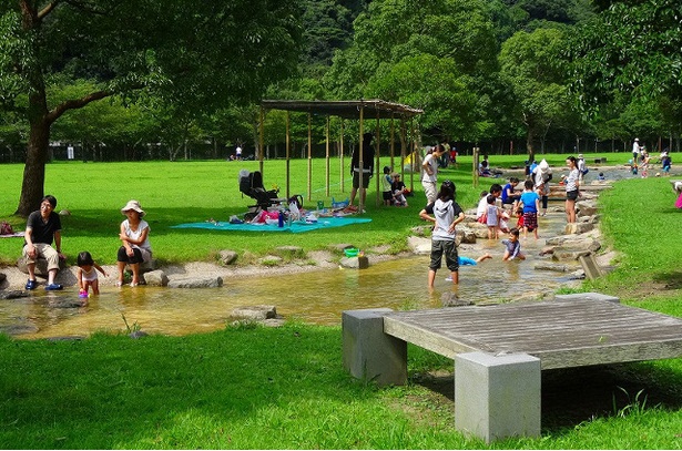 「北九州市立山田緑地」のせせらぎ水路は、大人の足首ほどの深さ。小さな赤ちゃんでも安心して遊べる
