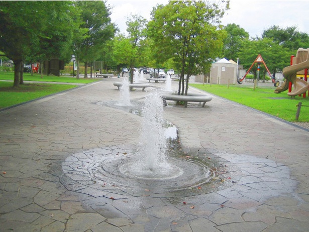 「水沼の里2000年記念の森」の噴水エリアは5か所から水が吹き上がる