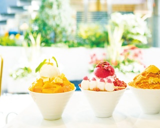 新顔2つが仲間入り！韓国発のキュートなかき氷店