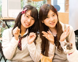 【NMB48】毛並みやしっぽにほれた！遊んでいるのを見るだけで癒し