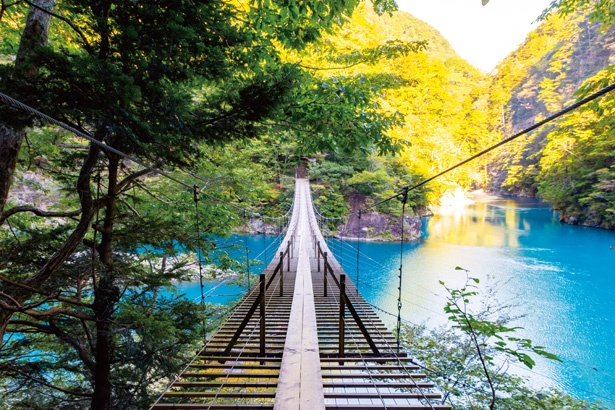 コバルトブルーのチンダル湖にかかる「夢の吊橋」