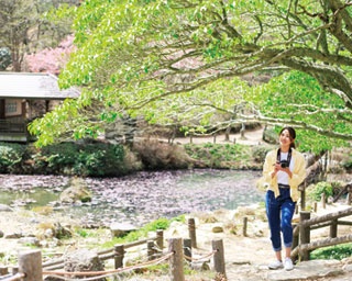 緑と大パノラマな絶景の美しさを楽しむ、気軽な六甲山ハイキングコース