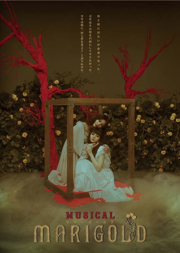 8月25日(土)より上演される「ミュージカル『マリーゴールド』 TRUMPシリーズ10th ANNIVERSARY」