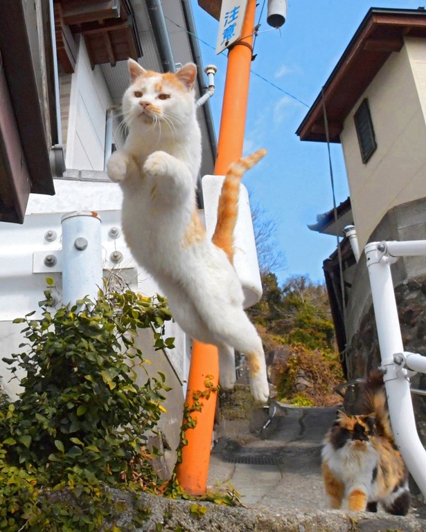 秘技！その名も「おばけジャンプ」