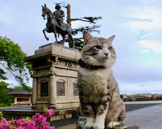 【厳選20枚】世界遺産を巡る！“旅猫 ニャン吉”の最新旅写真を公開
