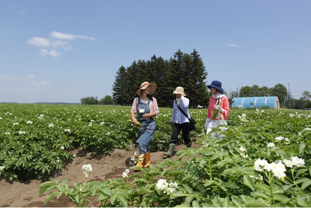 畑の真ん中で食べて学ぶ この夏北海道で体験したい農場ツアー ウォーカープラス