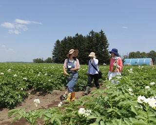 畑の真ん中で食べて学ぶ！　この夏北海道で体験したい農場ツアー