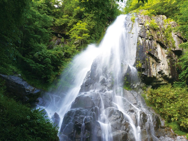 森林浴を楽しみながら滝を目指す百滝コースは徒歩30～40分