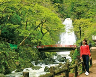 関西人気No.1の名瀑、箕面大滝と美しい緑を堪能するハイキングコース