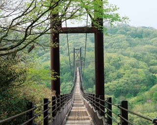 スリル満点なつり橋での空中散歩が目玉！大阪、ほしだ園地のハイキングコース