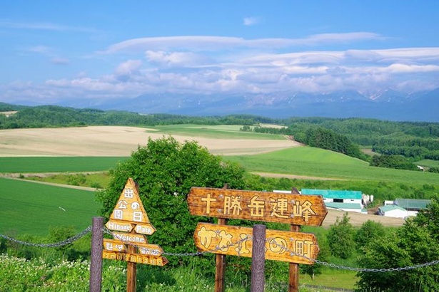 ラベンダーとともに、いかにも北海道らしい丘の風景も必見！