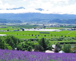 北海道ゆるっと鉄道旅～富良野線2：駅から歩いて行ける彩り鮮やかな花畑巡り